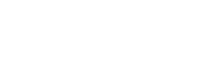 DL Logo White